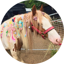 Painting, plaiting & bows