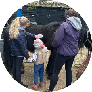 Brushing and pampering