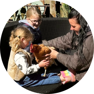 Chicken feeding & handling